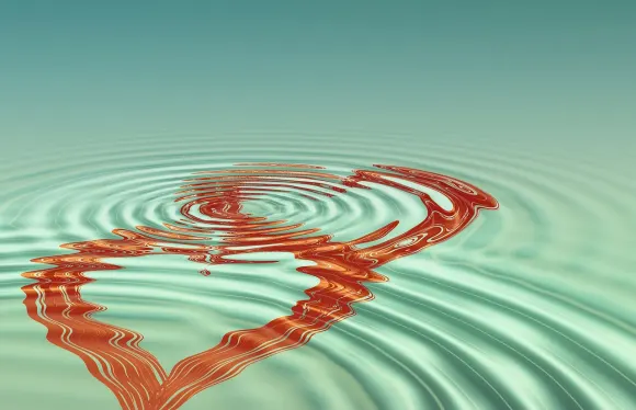 Casino Days Supporto